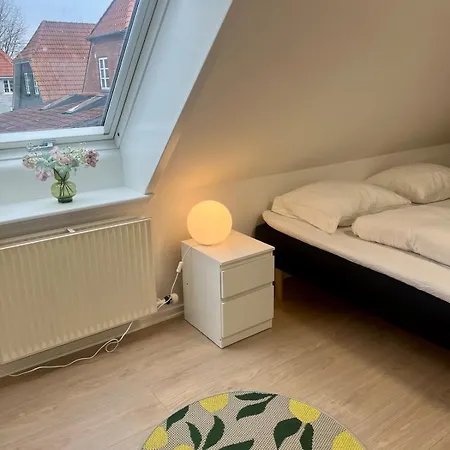 Lägenhet Cozy House With Garden Odense